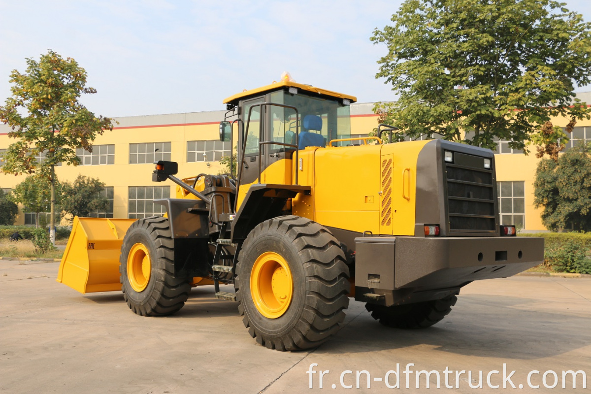 5 ton wheel loader (1)